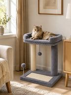 Petit arbre à chat Dorlésia installé dans un salon avec un chat