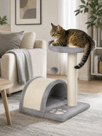 Petit arbre à chat gris Griselia en intérieur pour coin chat compact