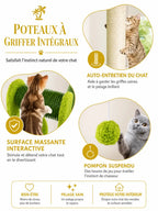 Poteaux à griffer sisal et brosse massante du petit arbre à chat Palmera