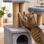Chat faisant ses griffes sur les poteaux en jute du petit arbre à chat gris Pétalia.