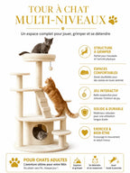 Tour à chat multi-niveaux Velouna pour chat adulte